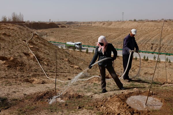 甘肃武威居民在沙漠戈壁浇灌树苗。

 - 俄罗斯卫星通讯社