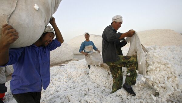 Рабочий собирает хлопок-сырец на хлопковом участке в городе Корла в Синьцзян-Уйгурском автономном районе на северо-западе Китая - 俄羅斯衛星通訊社