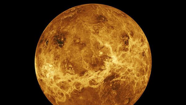 Изображение, созданное НАСА, на планете Венеры - 俄罗斯卫星通讯社