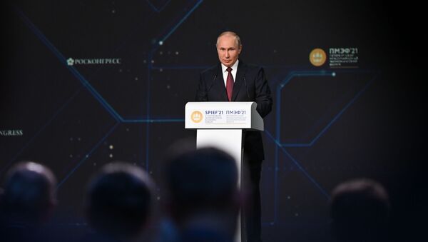  Владимир Путин выступает на пленарном заседании в рамках Петербургского международного экономического форума - 俄罗斯卫星通讯社