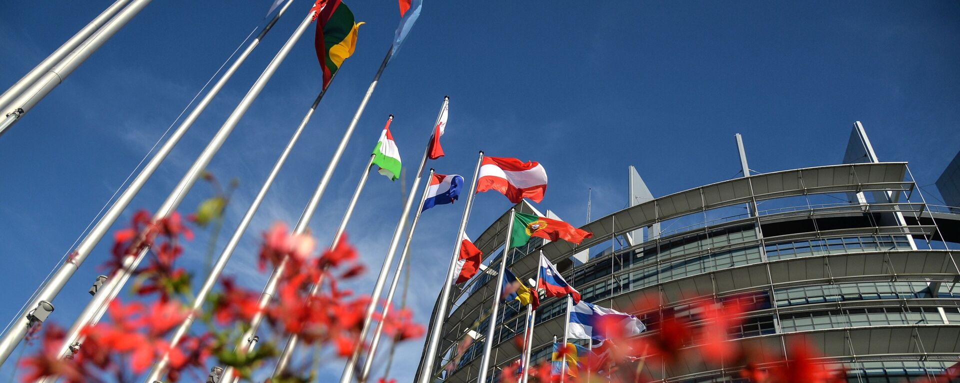 Флаги возле здания Европейского парламента в Страсбурге - 俄罗斯卫星通讯社, 1920, 16.10.2022