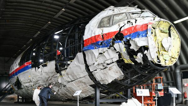 Реконструированные обломки рейса MH17 авиакомпании Malaysia Airlines на авиабазе Гильзе-Рейен, Нидерланды - 俄罗斯卫星通讯社