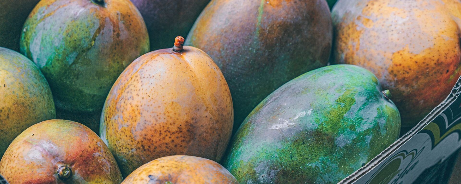 俄罗斯自中国进口芒果增长40%，达到历史新高 - 俄罗斯卫星通讯社, 1920, 23.05.2025