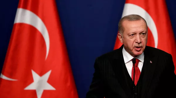 Президент Турции Реджеп Тайип Эрдоган - 俄罗斯卫星通讯社