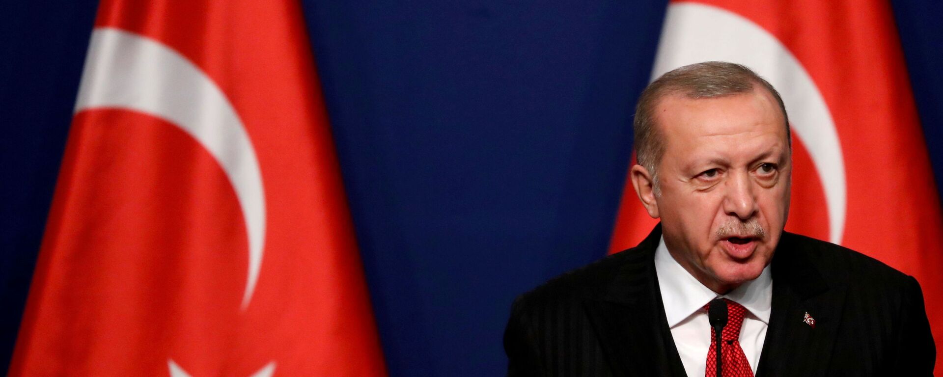 Президент Турции Реджеп Тайип Эрдоган - 俄罗斯卫星通讯社, 1920, 15.11.2021