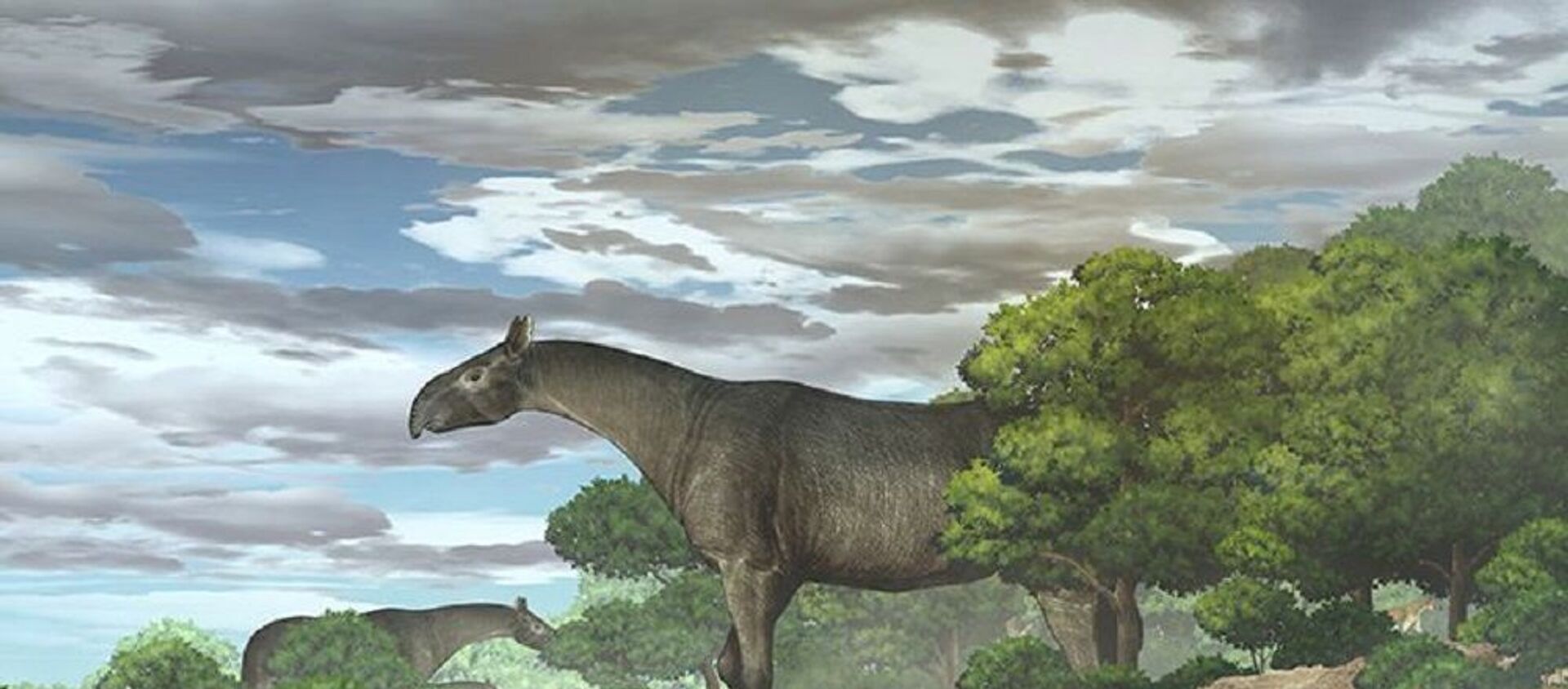 В Китае открыли новый вид гигантского носорога, который был выше жирафа  - 俄罗斯卫星通讯社, 1920, 18.06.2021