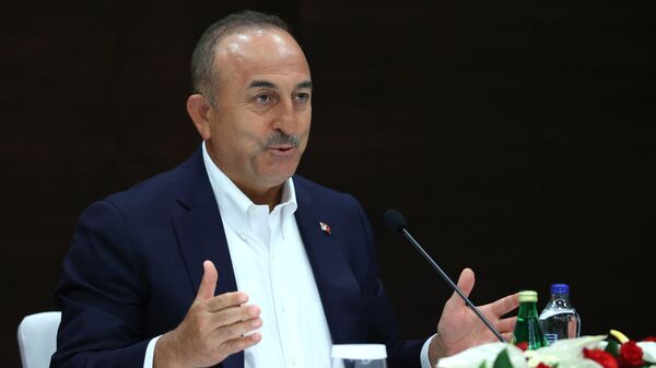 土耳其外长称在与俄外长的会晤中做出在乌克兰停火的决定 - 俄罗斯卫星通讯社