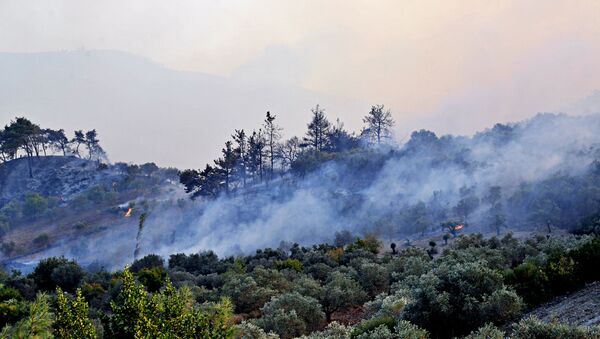 叙拉塔基亚省林火肆虐 俄空天军直升机助力灭火 - 俄罗斯卫星通讯社