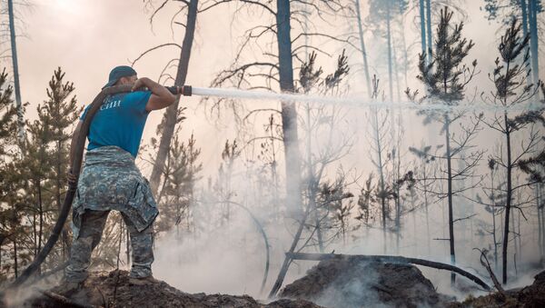 俄联邦航空护林局：萨哈共和国在林火扑灭前将一直烟雾弥漫 - 俄罗斯卫星通讯社