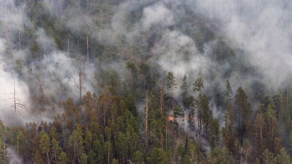 Тушение лесных пожаров в Якутии - 俄羅斯衛星通訊社