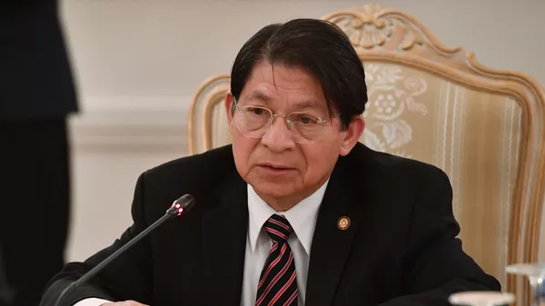 尼加拉瓜外長丹尼斯•蒙卡達 - 俄羅斯衛星通訊社