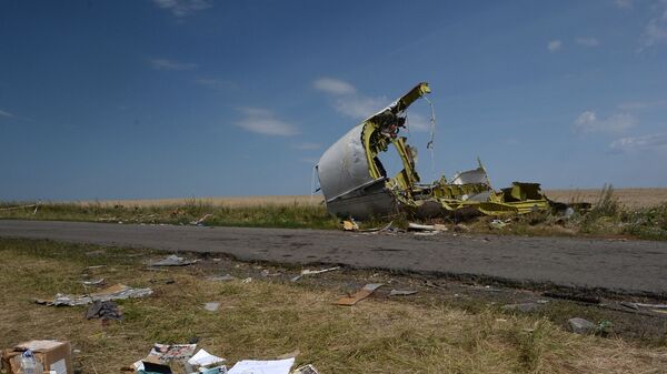 MH17航班墜毀 - 俄羅斯衛星通訊社