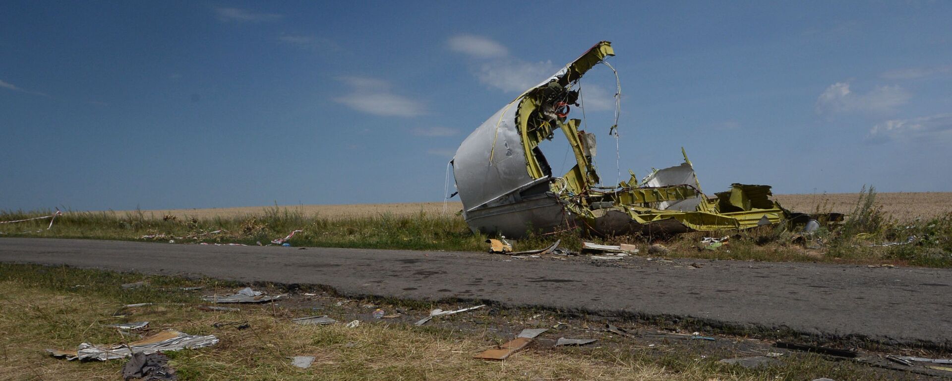 MH17航班墜毀 - 俄羅斯衛星通訊社, 1920, 18.11.2022