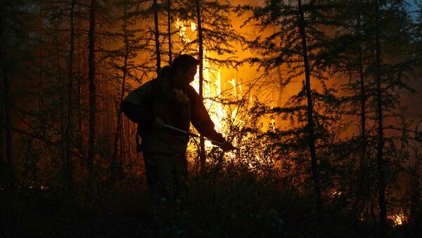 俄緊急情況部：自今年年初起遠東地區發生近2800起森林火災 - 俄羅斯衛星通訊社