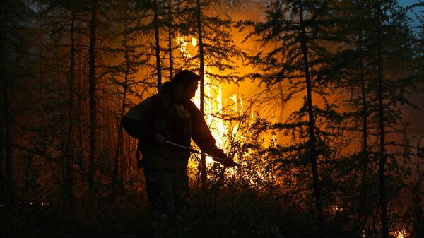俄森林消防部门一昼夜扑灭55处自然火灾 - 俄罗斯卫星通讯社
