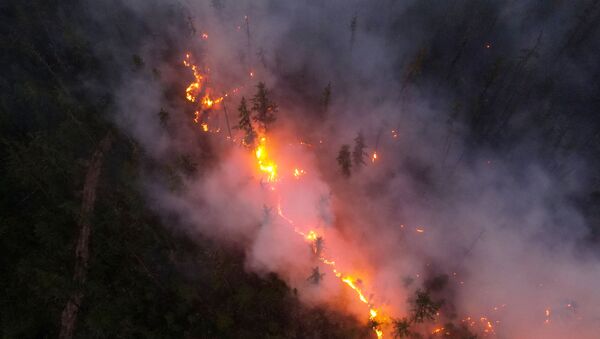 俄萨哈共和国过去一日扑灭45处天然火灾 - 俄罗斯卫星通讯社