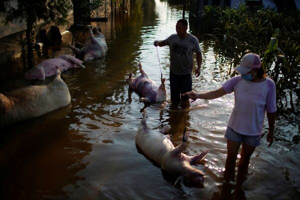  中國水災：1100百萬人受災 - 俄羅斯衛星通訊社