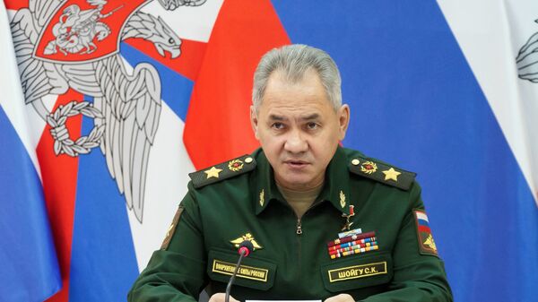 Министр обороны РФ Сергей Шойгу  - 俄罗斯卫星通讯社