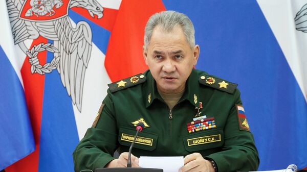 俄罗斯国防部部长绍伊古 - 俄罗斯卫星通讯社