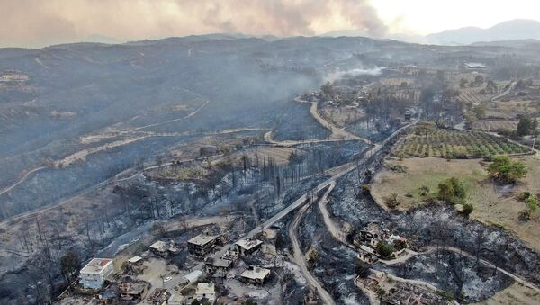 Последствия лесных пожаров в Манавгате, провинция Анталья, Турция  - 俄罗斯卫星通讯社
