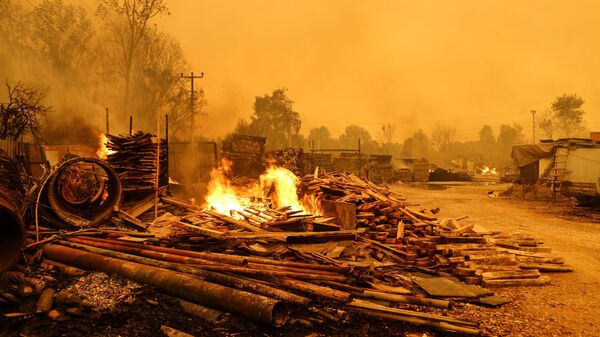 Лесные пожары в Турции - 俄羅斯衛星通訊社