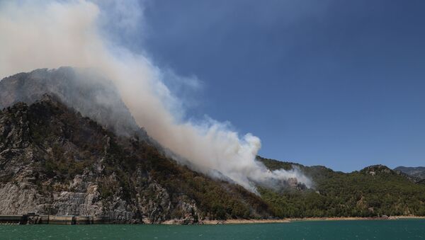 Лесной пожар в Манавгате, Турция - 俄羅斯衛星通訊社