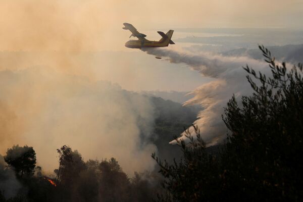 Самолет пожарной службы во время тушения природных пожаров в Греции  - 俄羅斯衛星通訊社
