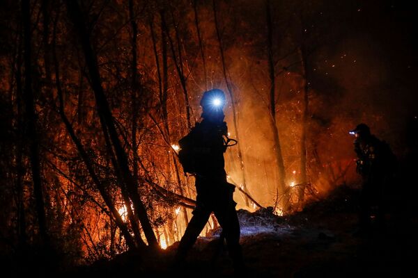 圖片新聞：希臘火災 - 俄羅斯衛星通訊社