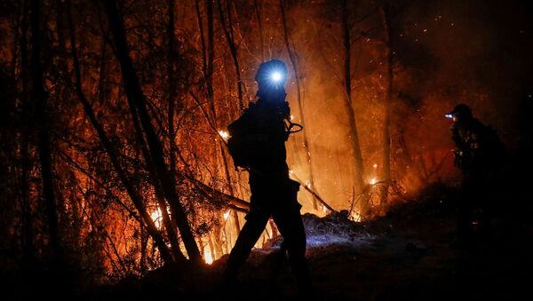 Пожарный тушит пожар у греческого города Патры - 俄羅斯衛星通訊社