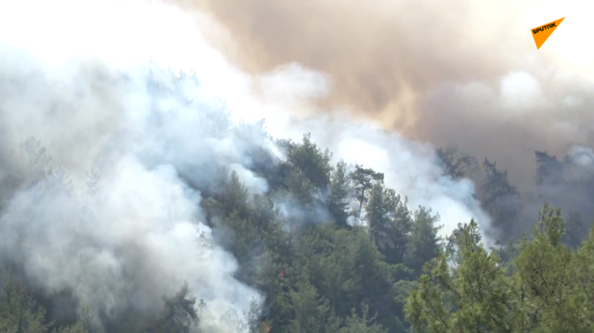 土耳其森林大火 - 俄羅斯衛星通訊社, 1920, 04.08.2021
