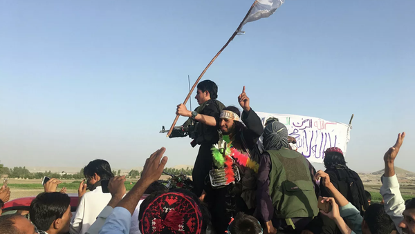 媒體：塔利班控制著阿富汗的所有邊境口岸 - 俄羅斯衛星通訊社