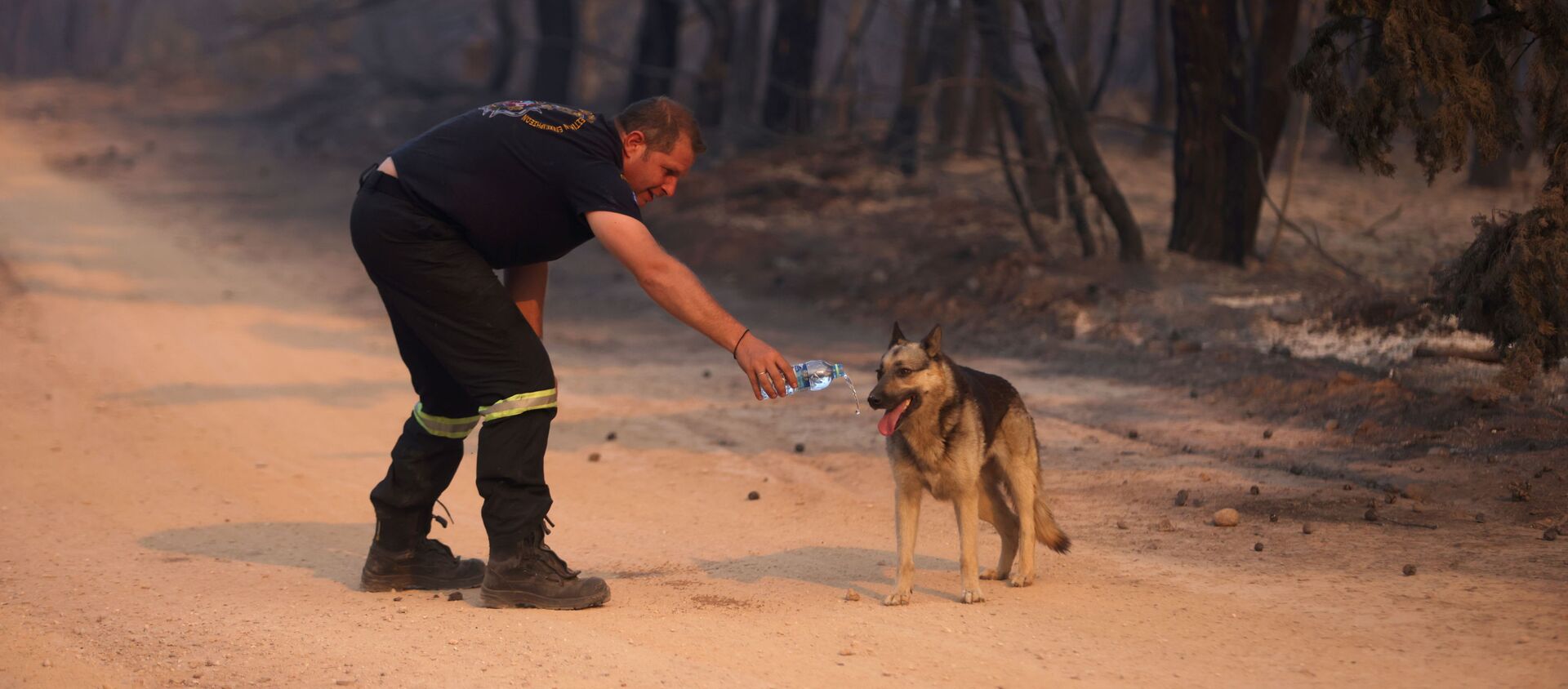 Пожарный дает воду собаке во время природных пожаров в северном пригороде Афин  - 俄羅斯衛星通訊社, 1920, 06.08.2021