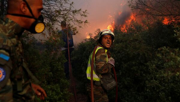 Тушение природных пожаров в северном пригороде Афин  - 俄罗斯卫星通讯社