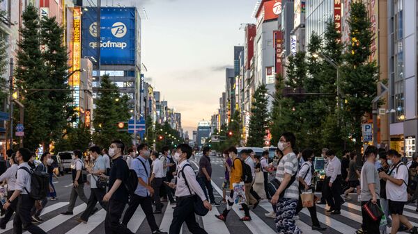 日本宣佈已經向外國人發放的簽證效力暫停 - 俄羅斯衛星通訊社