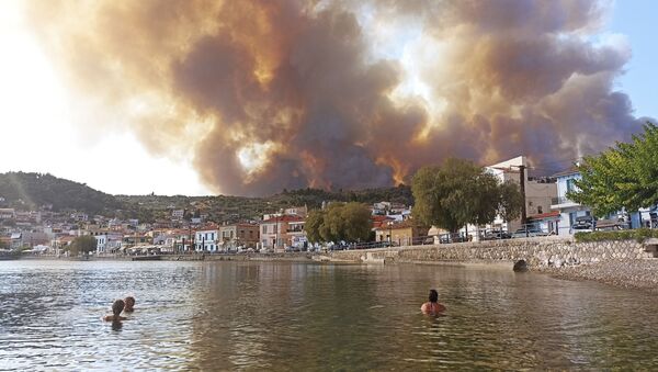 Пожар на острове Эвия, Греция  - 俄罗斯卫星通讯社