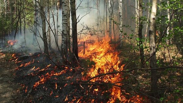 俄緊急情況部：雅庫特一天內有3處林火被撲滅 飛機灑水87噸 - 俄羅斯衛星通訊社