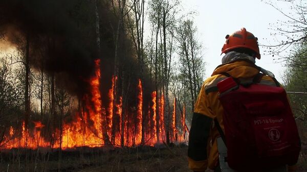 俄自然资源部提议增加1亿多公顷的林火扑灭区 - 俄罗斯卫星通讯社