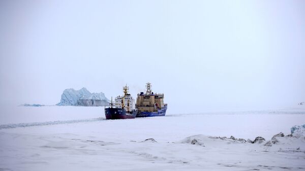 俄罗斯政府将确定需要为北方海路建造的破冰船数量 - 俄罗斯卫星通讯社