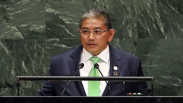 東盟緬甸特使的穿梭外交能有何結果？ - 俄羅斯衛星通訊社