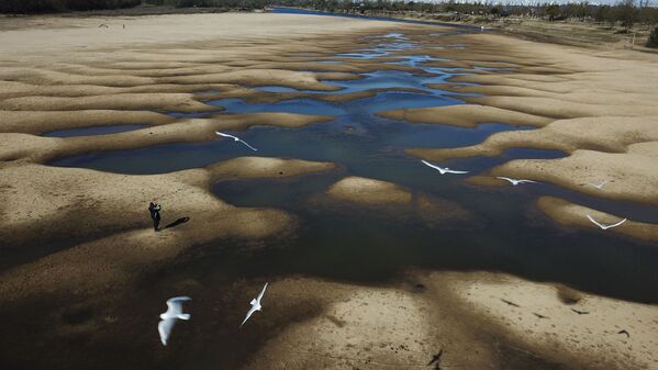 乾涸的阿根廷“舊帕拉納”河。 - 俄羅斯衛星通訊社