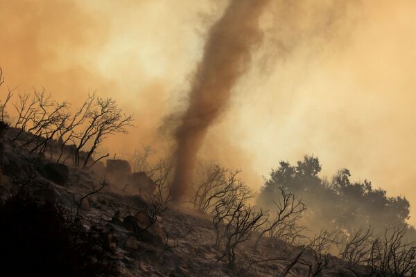 加利福尼亞州林火災區內形成的旋風。 - 俄羅斯衛星通訊社