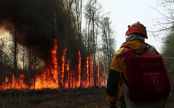 俄罗斯“航空森林保安”队人员在雅库特森林灭火。 - 俄罗斯卫星通讯社