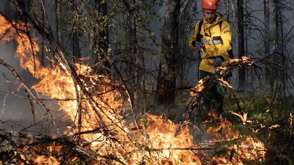 Тушение лесных пожаров в Якутии - 俄罗斯卫星通讯社