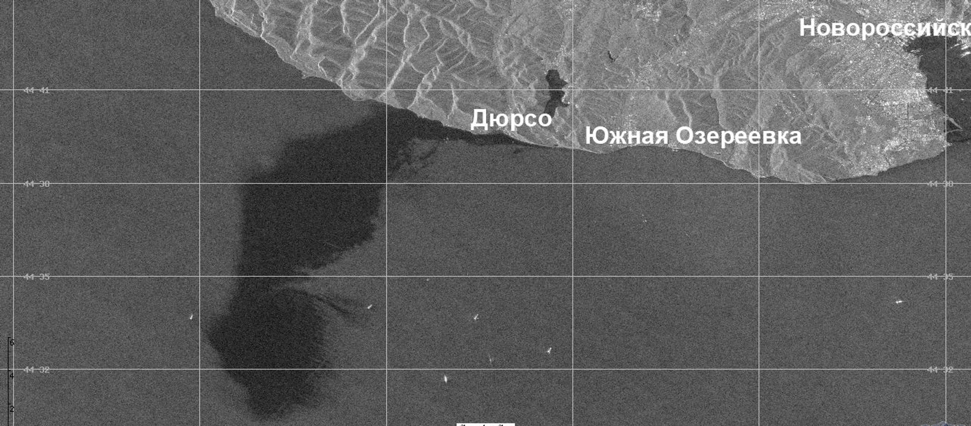 Радиолокационное изображение нефтяного разлива в районе Новороссийска  - 俄羅斯衛星通訊社, 1920, 11.08.2021