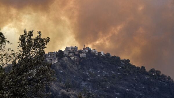пожары в Алжире - 俄羅斯衛星通訊社