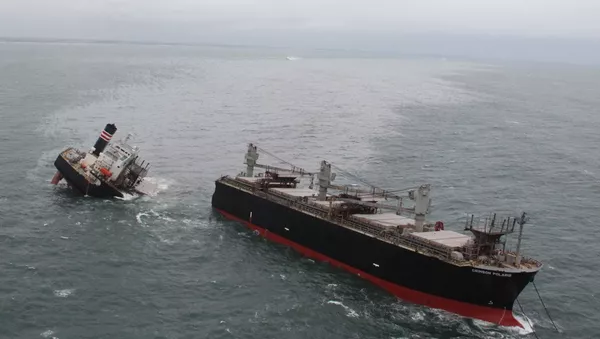 Грузовое судно CRIMSONPOLARIS под флагом Панамы село на мель на севере Японии - 俄羅斯衛星通訊社
