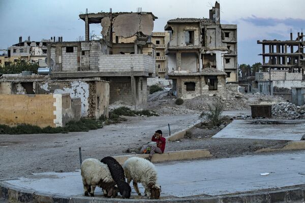 敘利亞拉卡，一個小男孩在破損的房屋前放羊。 - 俄羅斯衛星通訊社