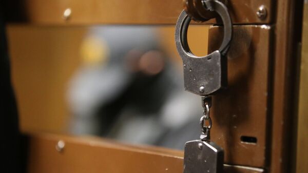 铯-137走私案涉案人在莫斯科被羁押 - 俄罗斯卫星通讯社