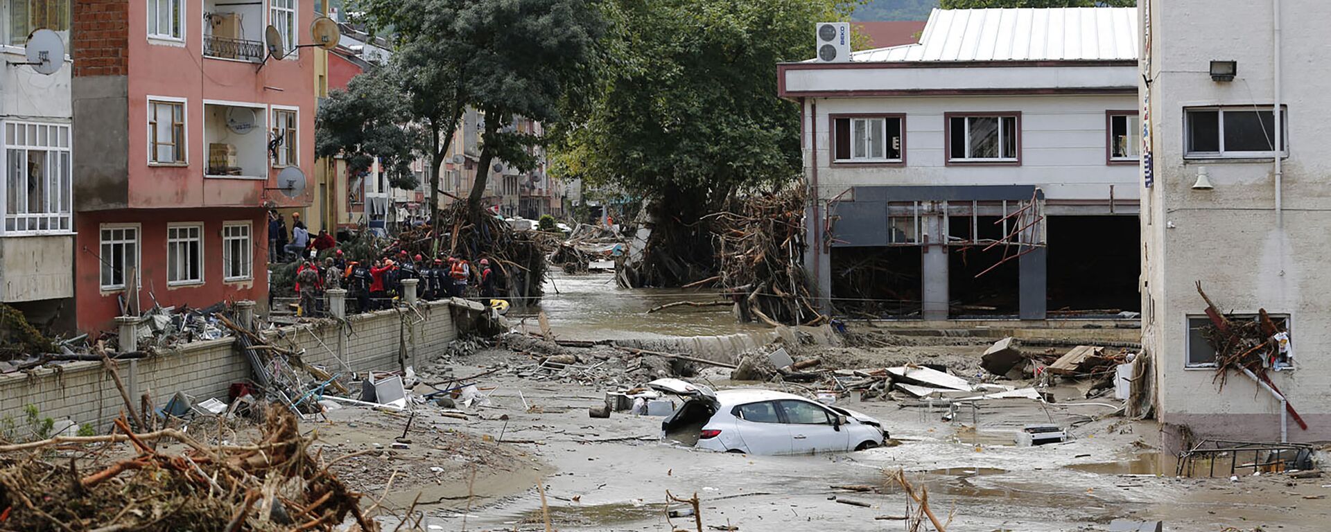 土耳其洪水遇难人数升至27人 - 俄罗斯卫星通讯社, 1920, 13.08.2021