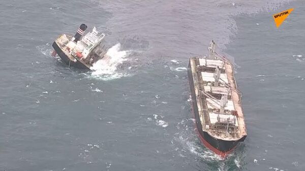 在日本海域擱淺的巴拿馬籍貨船斷成兩半 造成燃油洩漏 - 俄羅斯衛星通訊社
